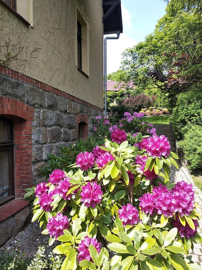 Apartamenty Villa Akant Piechowice  Exterior photo